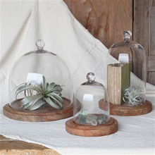 Load image into Gallery viewer, HomArt - Glass Dome - Lrg - Clear