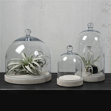 Load image into Gallery viewer, HomArt - Glass Dome - Lrg - Clear