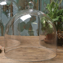 Load image into Gallery viewer, HomArt - Glass Dome - Lrg - Clear