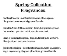 Load image into Gallery viewer, Amber & Wood - Car Diffusers | Car Fresheners: Coconut + Bamboo