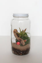 Load image into Gallery viewer, The Plant Supply - DIY Terrarium | Glass Plant Terrarium Kit