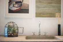 Load image into Gallery viewer, Urban Born - Black Birdcage Terrarium — 10" x 9" x 9"