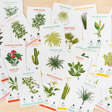 Load image into Gallery viewer, Another Studio - Houseplant Care Cards, botanical tips & advice