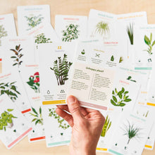 Load image into Gallery viewer, Another Studio - Houseplant Care Cards, botanical tips & advice