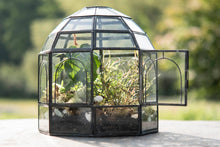 Load image into Gallery viewer, Urban Born - Black Birdcage Terrarium — 10" x 9" x 9"