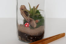 Load image into Gallery viewer, The Plant Supply - DIY Terrarium | Glass Plant Terrarium Kit