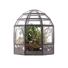 Load image into Gallery viewer, Urban Born - Black Birdcage Terrarium — 10" x 9" x 9"