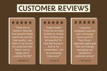 Load image into Gallery viewer, Air Plant Shop - Jumbo Tillandsia Air Plant Assortment