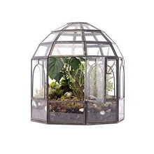 Load image into Gallery viewer, Urban Born - Black Birdcage Terrarium — 10" x 9" x 9"