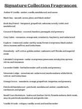 Load image into Gallery viewer, Amber & Wood - Car Diffusers | Car Fresheners: Beach Bum