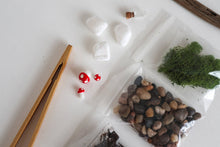 Load image into Gallery viewer, The Plant Supply - DIY Terrarium | Glass Plant Terrarium Kit