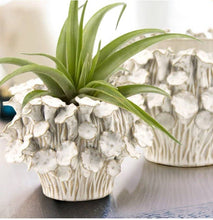 Load image into Gallery viewer, Galore Home - 8.5" Top | Fine Ceramic Blooming Planter, White: White / 16-0858W: H = 6" | D = 8.5" / Ceramic