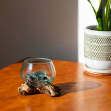 Load image into Gallery viewer, Cohasset Gifts - 4" Open Mouth Molten Glass Terrarium