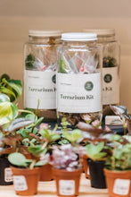 Load image into Gallery viewer, The Plant Supply - DIY Terrarium | Glass Plant Terrarium Kit