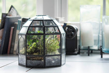 Load image into Gallery viewer, Urban Born - Black Birdcage Terrarium — 10" x 9" x 9"