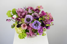 Load image into Gallery viewer, The Hummingbird