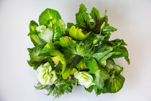 Load image into Gallery viewer, Mojito - Accent