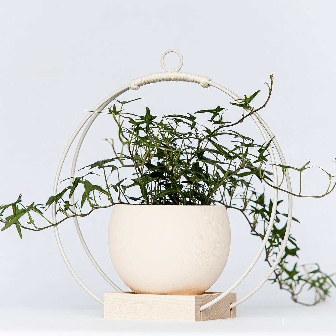 Modern Plant Stands by Braid & Wood Design Studio