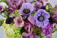 Load image into Gallery viewer, The Hummingbird