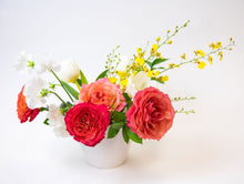 Load image into Gallery viewer, Picante! - Accent