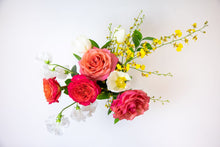 Load image into Gallery viewer, Picante! - Accent