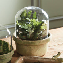 Load image into Gallery viewer, Napa Home &amp; Garden - Weathered Garden Terrarium Large
