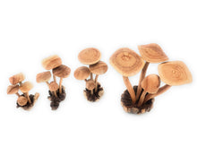 Load image into Gallery viewer, A Lost Art - Hand Carved Small Wooden Mushroom
