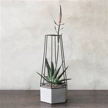 Load image into Gallery viewer, HomArt - Indio Planter - Lrg - Cement
