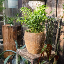 Load image into Gallery viewer, Rustic Reach - Faux Grass-Woven Cement Planter: Small
