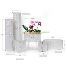 Load image into Gallery viewer, Galore Home - Lunar Ceramic Pot - Small Dish Garden: CDG13W: H-4.75&quot; D-10.5&quot; / White
