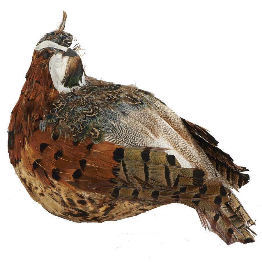 5 Inch Brown and Green Feathered Quail