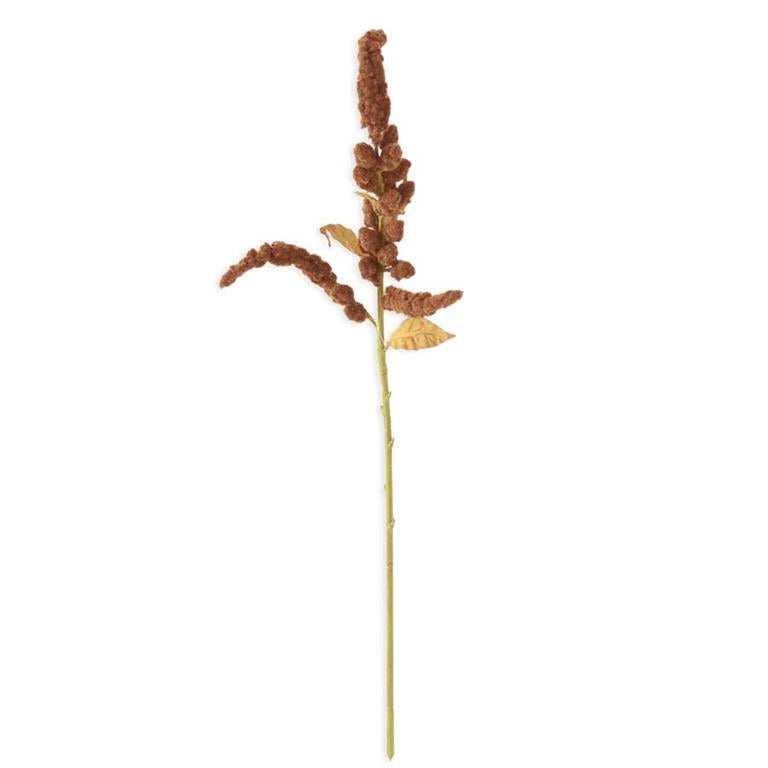 33 Inch Brown Amaranthus Stem