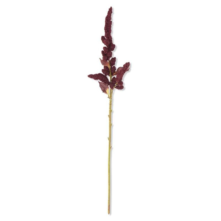 33 Inch Burgundy Amaranthus Stem