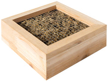 Load image into Gallery viewer, SuperMoss - Sphagnum Moss Living Frame

