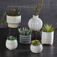 Load image into Gallery viewer, 47th &amp; Main (Creative Brands) - Cream Dot Planter
