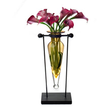 Load image into Gallery viewer, Danya B - Amphora Vase on Swiveling Iron Stand w/Finials &amp; Hinge: Clear
