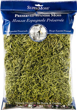 Load image into Gallery viewer, SuperMoss - Preserved Spanish Moss: Basil
