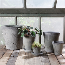 Load image into Gallery viewer, HomArt - Rustic Terra Cotta Rose Pot - Sm - Moss Grey
