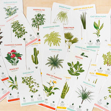 Load image into Gallery viewer, Another Studio - Houseplant Care Cards, botanical tips &amp; advice

