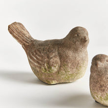 Load image into Gallery viewer, Napa Home &amp; Garden - Weathered Garden Birds
