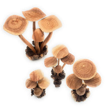 Load image into Gallery viewer, A Lost Art - Hand Carved Extra Large Wooden Magical Mushroom
