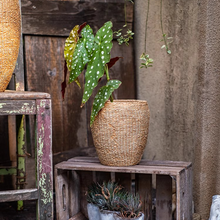 Load image into Gallery viewer, Rustic Reach - Faux Grass-Woven Cement Planter: Small
