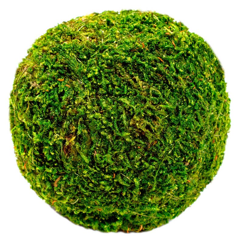 SuperMoss - Moss Balls 4in Bulk 36 Units