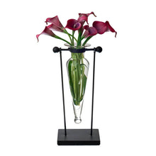 Load image into Gallery viewer, Danya B - Amphora Vase on Swiveling Iron Stand w/Finials &amp; Hinge: Clear
