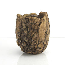 Load image into Gallery viewer, Galore Home - 5.5&quot; Top | Ceramic Fossil Planter: 16-0850FO: Fossil / Ceramic / Height = 6&quot; | Diameter = 5.5&quot;
