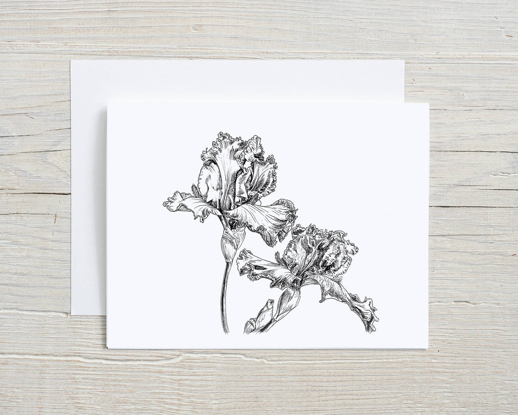 Liz Pope Designs - Hand drawn Iris flower card, black and white botanical 