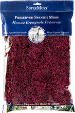 Load image into Gallery viewer, SuperMoss - Preserved Spanish Moss: Basil
