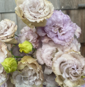Lisianthus - Blue Chateau