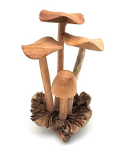 Load image into Gallery viewer, A Lost Art - Hand Carved Small Wooden Mushroom
