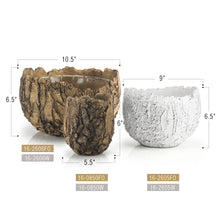 Load image into Gallery viewer, Galore Home - 5.5&quot; Top | Ceramic Fossil Planter: 16-0850FO: Fossil / Ceramic / Height = 6&quot; | Diameter = 5.5&quot;
